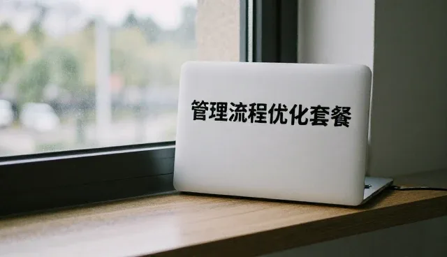 提升财税流程数据准确性:使用与维护建议